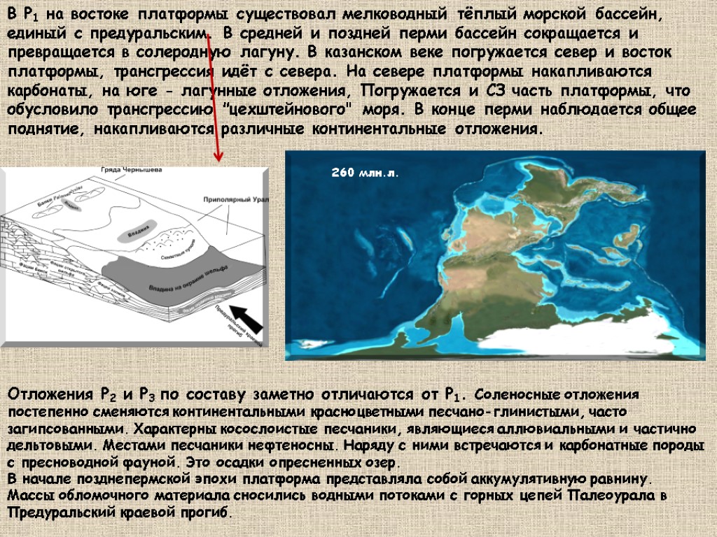 В Р1 на востоке платформы существовал мелководный тёплый морской бассейн, единый с предуральским. В